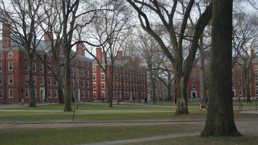 Ở Harvard, bạn có thật sự sống trong Harvard của mình? 2