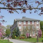 trường Adelphi University